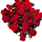 Premium Fresh Cut Spray Roses Wholesale Red Spray Roses Yunnan For Wedding Bouquets & Event Florals