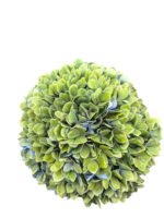 Premium Fresh Cut Spray Roses Wholesale Violet Spray Roses Yunnan For Wedding Bouquets & Event Florals (复制)