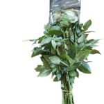 Premium Fresh Cut Roses Wholesale Apple Jack Roses Yunnan For Wedding Bouquets & Event Florals