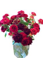 Premium Fresh Cut Spray Roses Wholesale Violet Spray Roses Yunnan For Wedding Bouquets & Event Florals