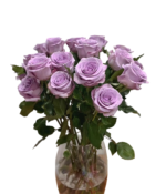 Premium Fresh Cut Roses Wholesale Purple Roses Yunnan For Wedding Bouquets & Event Florals