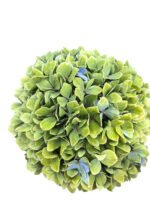 Premium Fresh Cut Hydrangea Wholesale Yunnan For Wedding Bouquets & Large Event Centerpieces