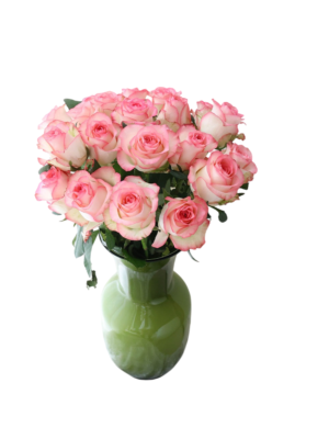 aisha 1