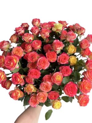 Premium Fresh Cut Spray Roses Wholesale Alice Spray Roses Yunnan For Wedding Bouquets & Event Florals