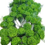 Premium Fresh Cut Hydrangea Wholesale Yunnan For Wedding Bouquets & Large Event Centerpieces