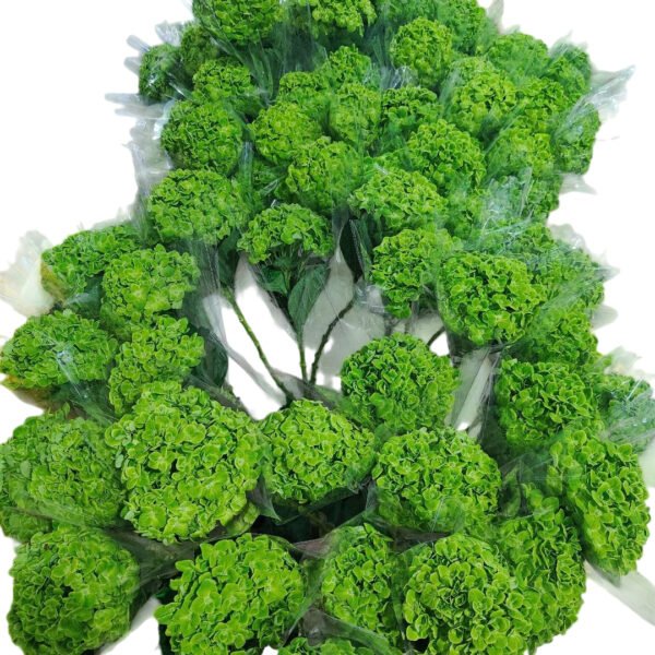 Premium Fresh Cut Hydrangea Wholesale Yunnan For Wedding Bouquets & Large Event Centerpieces