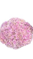 Premium Fresh Cut Double Hydrangea Wholesale Hydrangea Yunnan For Wedding Bouquets & Large Event Centerpieces