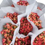 Premium Fresh Cut Spray Roses Wholesale Alice Spray Roses Yunnan For Wedding Bouquets & Event Florals
