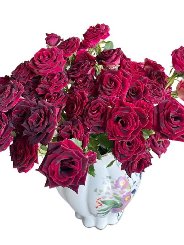 Premium Fresh Cut Spray Roses Wholesale Violet Spray Roses Yunnan For Wedding Bouquets & Event Florals