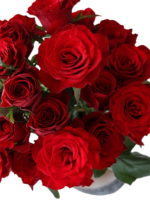 Premium Fresh Cut Roses Wholesale Red Roses Yunnan For Wedding Bouquets & Event Florals