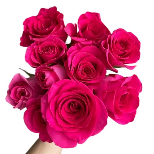 Premium Fresh Cut Roses Wholesale Floyd Roses Yunnan For Wedding Bouquets & Event Florals