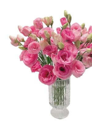 Premium Fresh Cut  Lisianthus Pink Eustoma Wholesale Yunnan For Wedding Bouquets