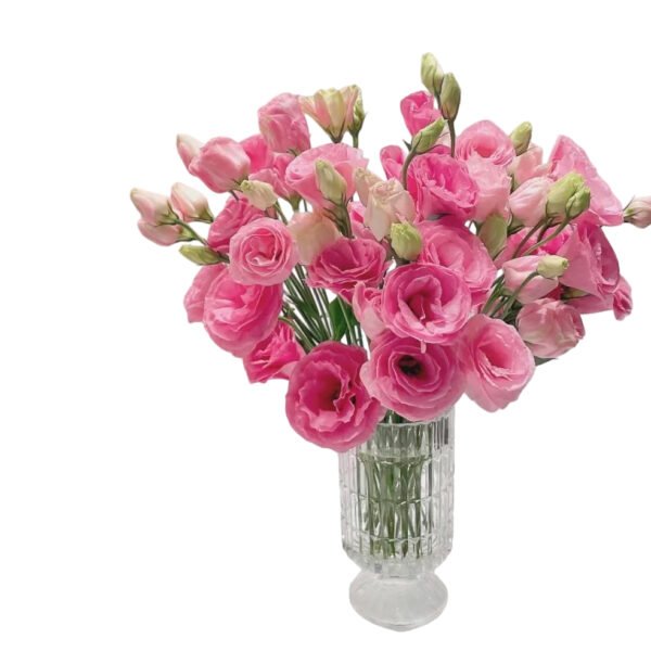 Premium Fresh Cut  Lisianthus Pink Eustoma Wholesale Yunnan For Wedding Bouquets