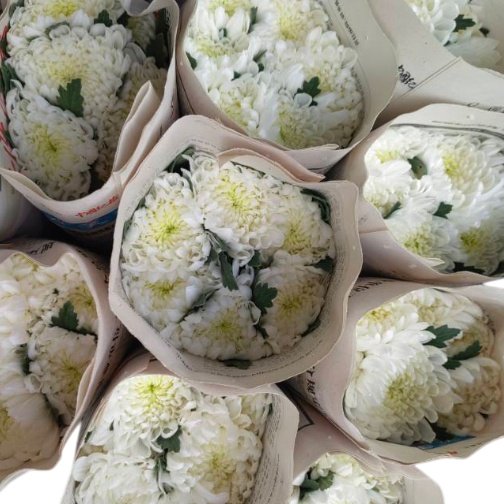 Fresh Cut Chrysanthemum White Wholesale Yunnan Wedding Bouquet Filler Flowers