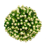 Fresh Cut Hypericum Berries A Grade Decorative Filler Flowers Wholesale Cold Chain Supply from Yunnan Kunming