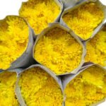 Fresh Cut Chrysanthemum Yellow Wholesale Yunnan Wedding Bouquet Filler Flowers