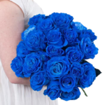 Fresh Cut Painted Roses Flowers Decorative Wholesale Cold Chain Supply from Yunnan Kunming
