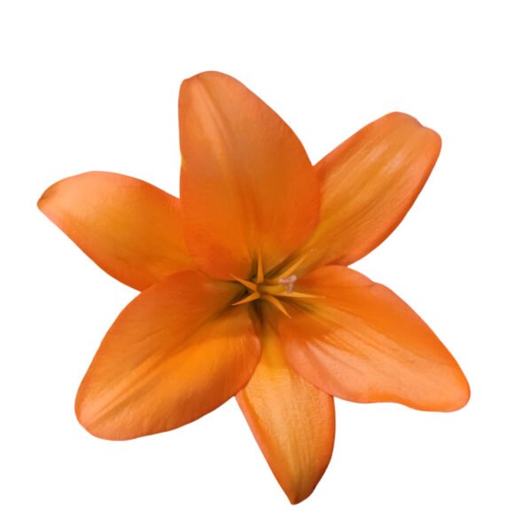 Premium Fresh Cut Lilies Orange Lily Wholesale Yunnan For Wedding Bouquets, Event Centerpieces & Hotel Florals