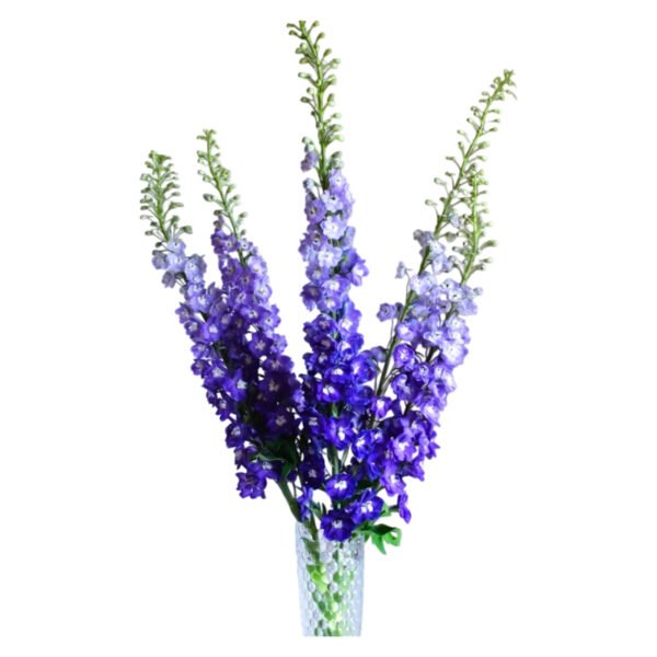 Fresh Cut Delphinium Filler Flowers Decorative Wholesale Cold Chain Supply from Yunnan Kunming