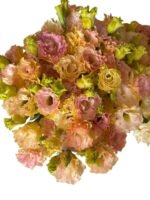 Premium Fresh Cut  Lisianthus Champagne Eustoma Wholesale Yunnan For Wedding Bouquets