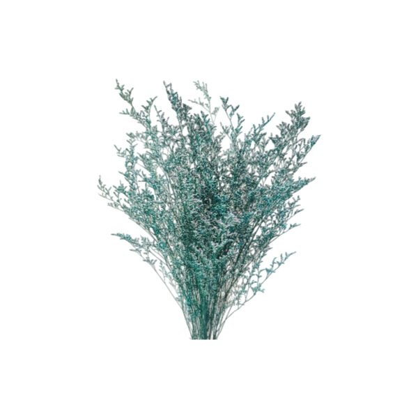 Fresh Cut Statice Limonium A Grade Filler Flowers Wholesale from Yunnan Kunming Cold Chain Export