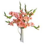Fresh Cut Gladiolus A Grade Long Stem Cut Flowers Wholesale Cold Chain Export Globally