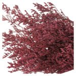 Fresh Cut Statice Limonium A Grade Filler Flowers Wholesale from Yunnan Kunming Cold Chain Export