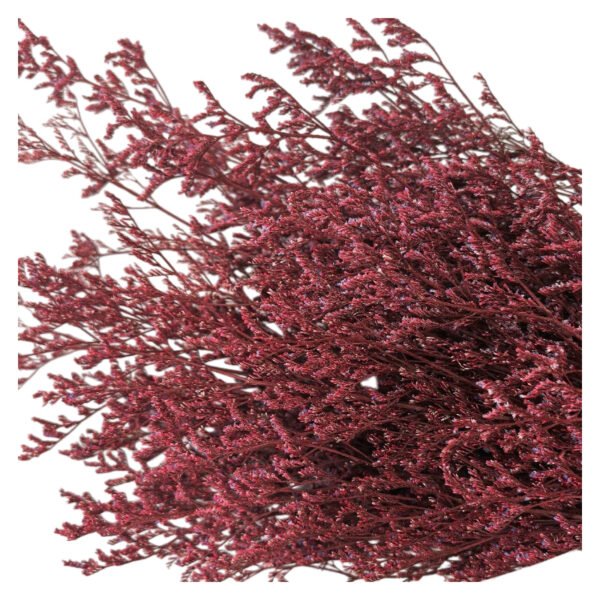 Fresh Cut Statice Limonium A Grade Filler Flowers Wholesale from Yunnan Kunming Cold Chain Export