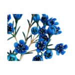 Premium Fresh Cut Wintersweet  A Grade Wax Flowers Wholesale from Yunnan Kunming Cold Chain Export
