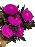 Fresh Cut Chrysanthemum Pink Peony Chrysanthemum Wholesale Yunnan Wedding Bouquet Filler Flowers