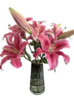 Premium Fresh Cut Lilies Wholesale Yunnan For Wedding Bouquets, Event Centerpieces & Hotel Florals