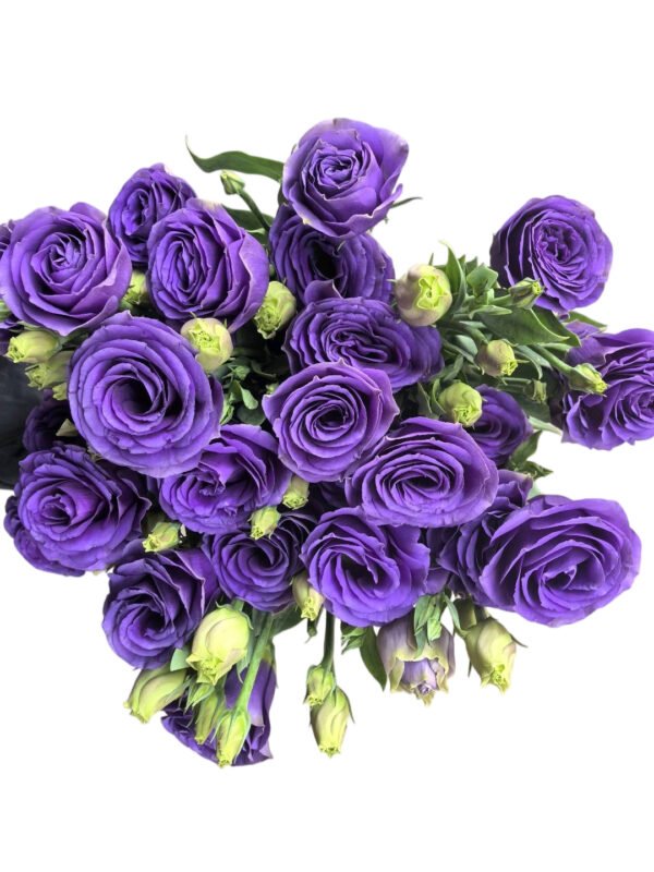 Premium Fresh Cut  Lisianthus Purple Eustoma Wholesale Yunnan For Wedding Bouquets