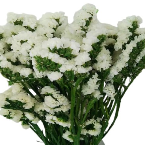 3c0c52fbb1a35613c47d7f94a0d2e76d