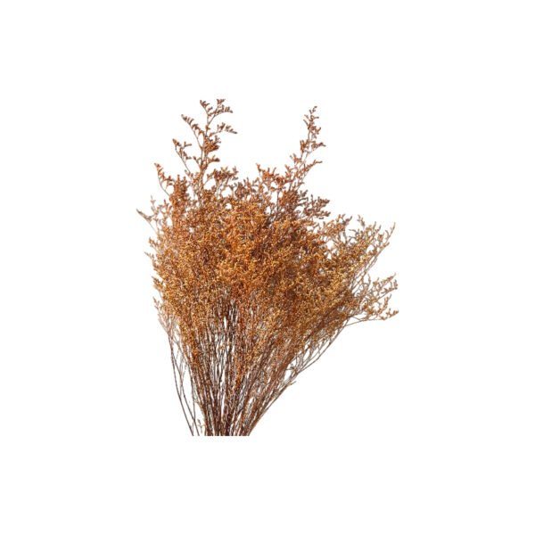 Fresh Cut Statice Limonium A Grade Filler Flowers Wholesale from Yunnan Kunming Cold Chain Export