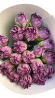 Fresh Cut Carnations Dianthus Supplier China Yunnan Bulk Export For Overseas Flower Importers