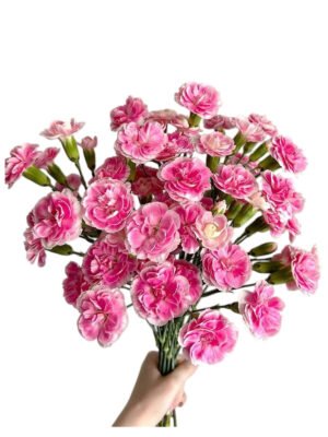 Premium Fresh Cut Lily Wholesale Yunnan For Minimalist Modern Wedding Bouquets