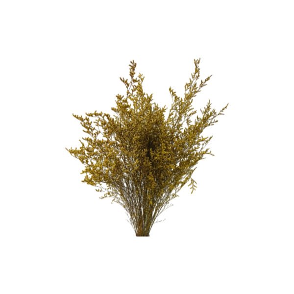 Fresh Cut Statice Limonium A Grade Filler Flowers Wholesale from Yunnan Kunming Cold Chain Export
