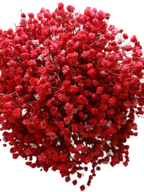 Premium Fresh Cut Gypsophila Baby’s Breath Wholesale Yunnan Universal Wedding Bouquet Filler