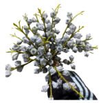 Fresh Cut Eucalyptus Pods A Grade Long Vase Life Eucalyptus Pods Fruits for Flower Arrangement Wholesale Cold Chain Export
