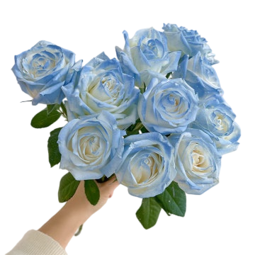 Fresh Cut Painted Roses Flowers Decorative Wholesale Cold Chain Supply from Yunnan Kunming
