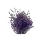 Fresh Cut Statice Limonium A Grade Filler Flowers Wholesale from Yunnan Kunming Cold Chain Export