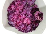 Fresh Cut Carnations Dianthus Supplier China Yunnan Bulk Export For Overseas Flower Importers