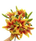 Premium Fresh Cut Lilies Bi-color Lily Wholesale Yunnan For Wedding Bouquets, Event Centerpieces & Hotel Florals