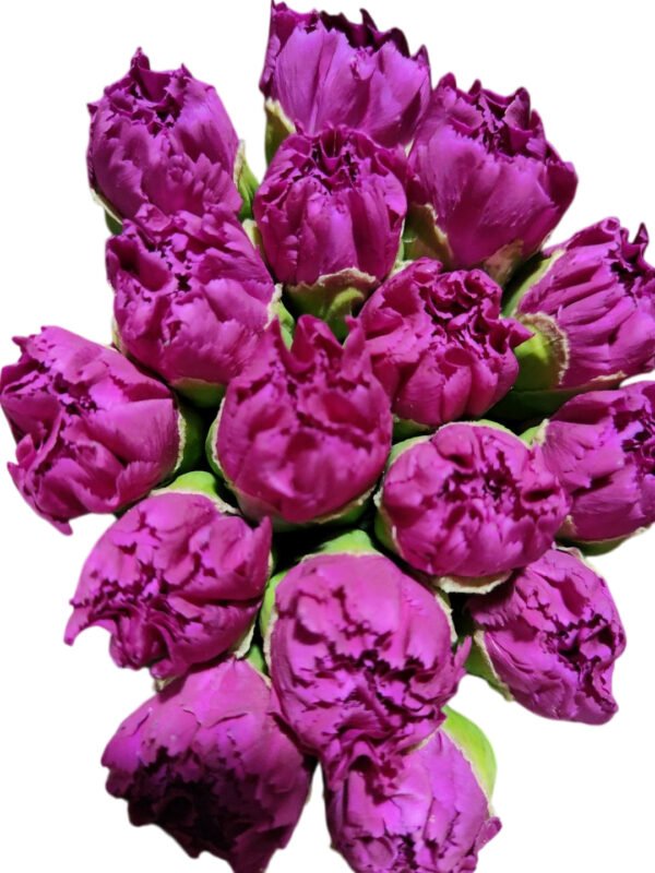Fresh Cut Carnations Violet Purple Dianthus Supplier China Yunnan Bulk Export For Overseas Flower Importers