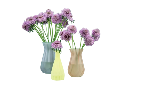 Fresh Cut Snapdragon Scabiosa Filler Flowers Decorative Wholesale Cold Chain Supply from Yunnan Kunming