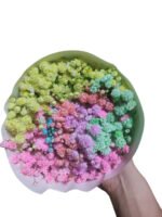 Premium Fresh Cut Gypsophila Baby’s Breath Wholesale Yunnan Universal Wedding Bouquet Filler