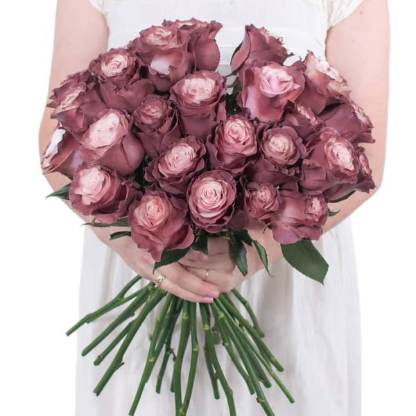 Fresh Cut Painted Roses Flowers Decorative Wholesale Cold Chain Supply from Yunnan Kunming
