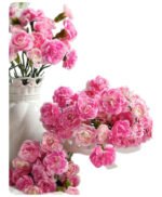 Premium Fresh Cut Lily Wholesale Yunnan For Minimalist Modern Wedding Bouquets