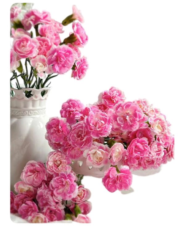 Premium Fresh Cut Lily Wholesale Yunnan For Minimalist Modern Wedding Bouquets