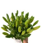 Premium Fresh Cut Lilies Orange Lily Wholesale Yunnan For Wedding Bouquets, Event Centerpieces & Hotel Florals